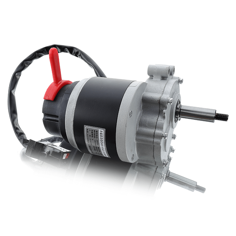 YSPM001 250W Brushed Motor